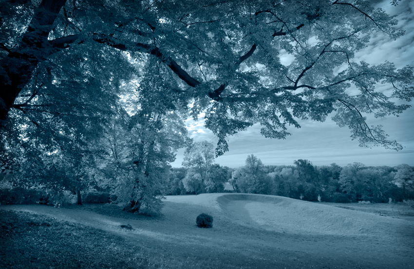 Park Ostromecko