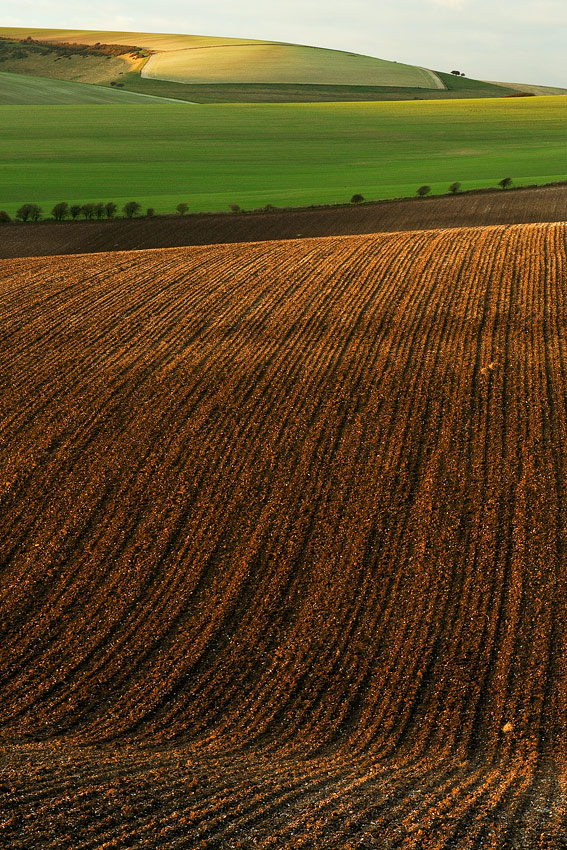 Zjeżdżalnia
