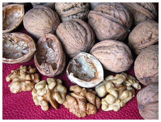 matka_Wariatka