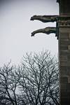Gargoyles