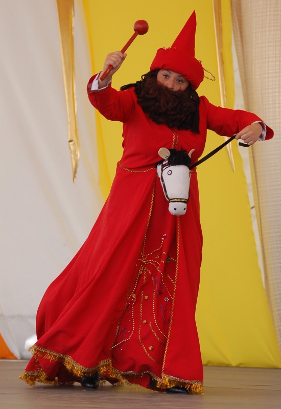 XIV Światowy Festiwal Polonijnych Zespołów Folklorystycznych, Rzeszów 16 - 24 lipca 2008.