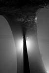 Foggy night