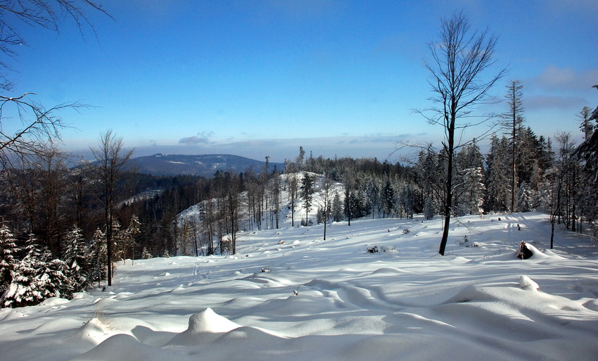 Pasmo Leskowa
