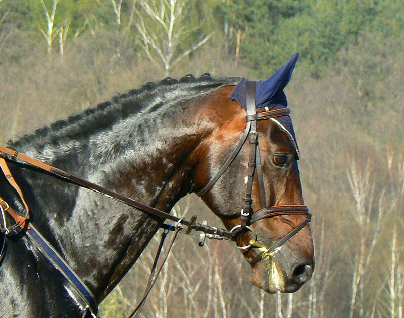 przed startem....Racot 2007