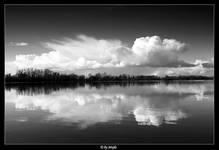 Black & White
