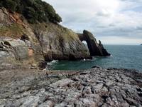 Anglia-Devon-Torquay