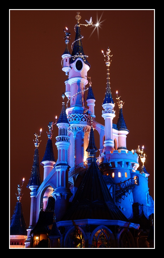 Le Château de la Belle au Bois Dormant