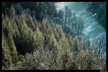 ... Beskidy ...