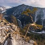 Sokolica