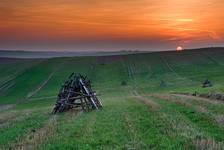 Pomarańczowa landrynka
