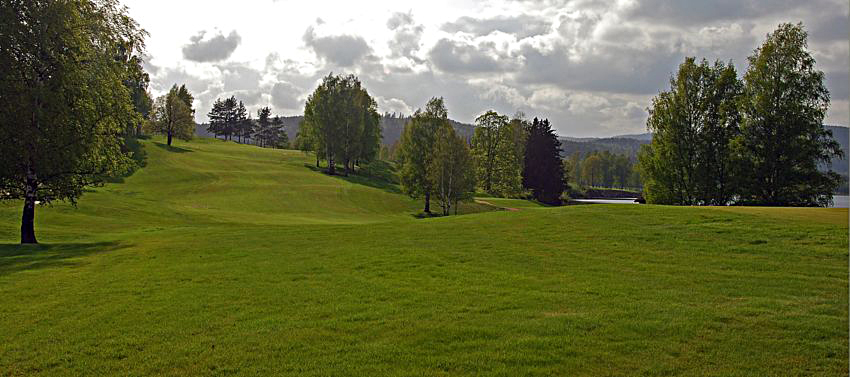 pole golfowe