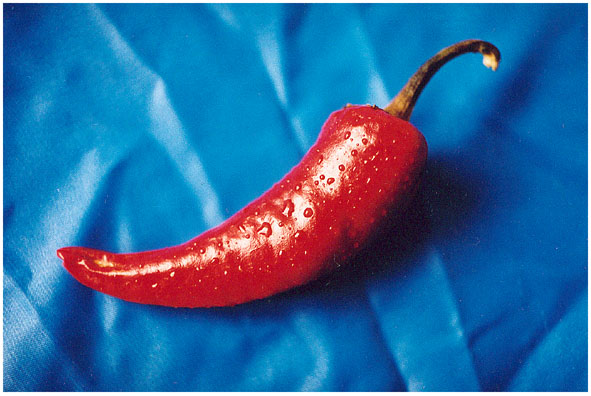 PEPPER