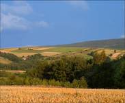 Landszaft,