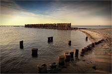 Palisada
