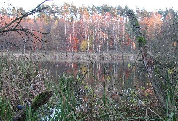 The colours of autumn