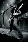 Mastodon
