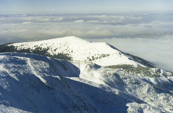 Piotrek Wojnowski