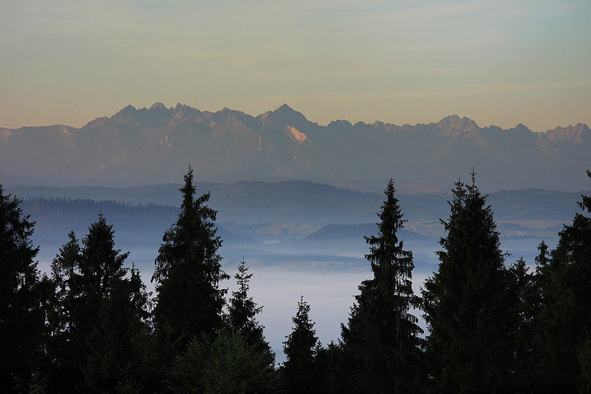 Gorce. Widok na Tatry ze Studzionek.