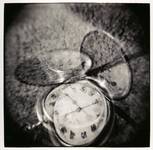 The Persistence of Memory