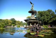 Central Park