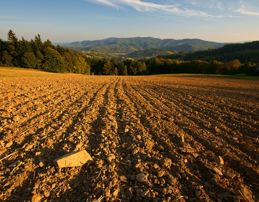 Beskid Wyspowy