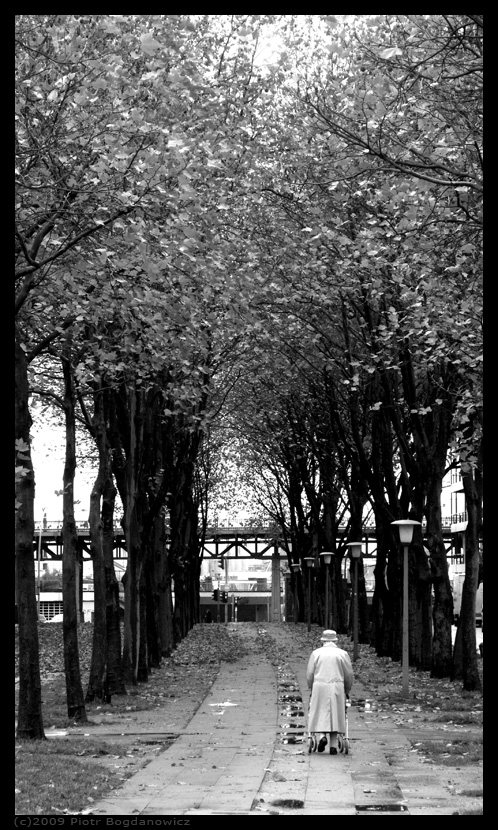 The Walk