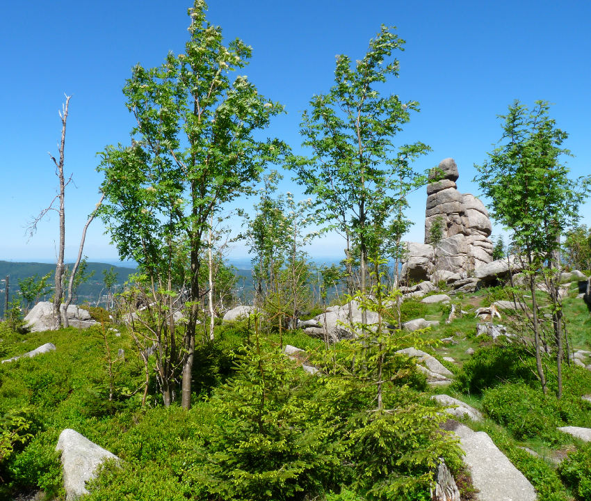 Karkonosze 2009.06.13  3