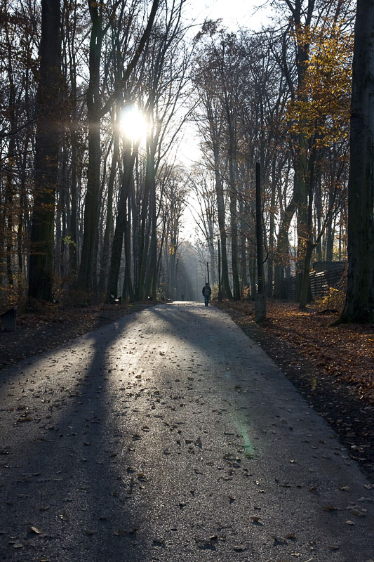Jesień