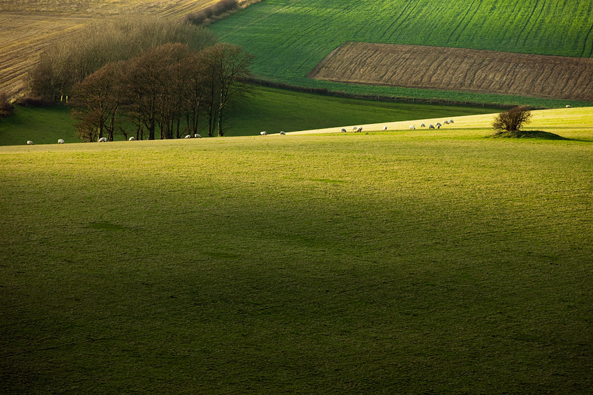 Plateau