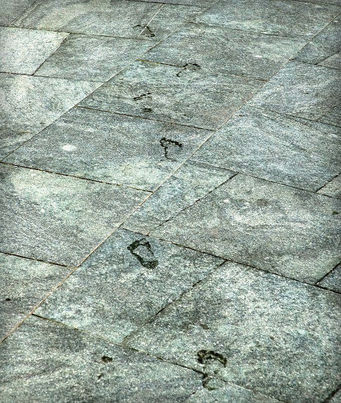 steps