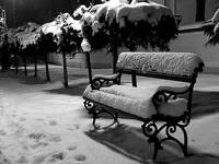 ławka bw