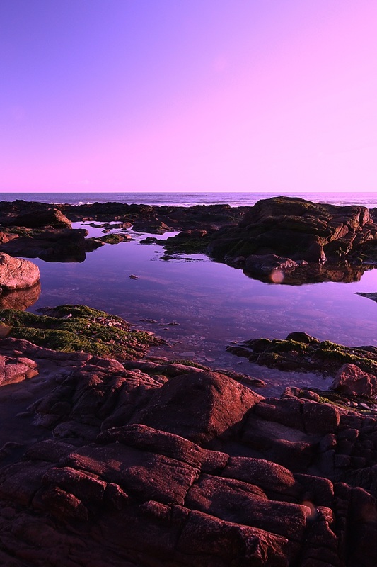 Ocean