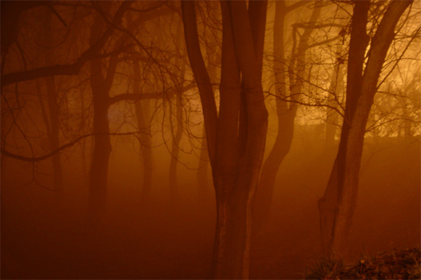 park nocą