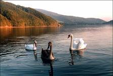 Trzeci to intruz....:-(