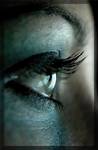 The eye