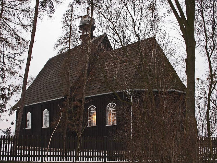 Szczury