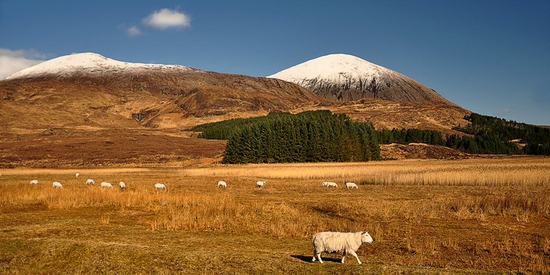 Beinn na Caillih - Red Cuillin, Isle of Skye Scotland