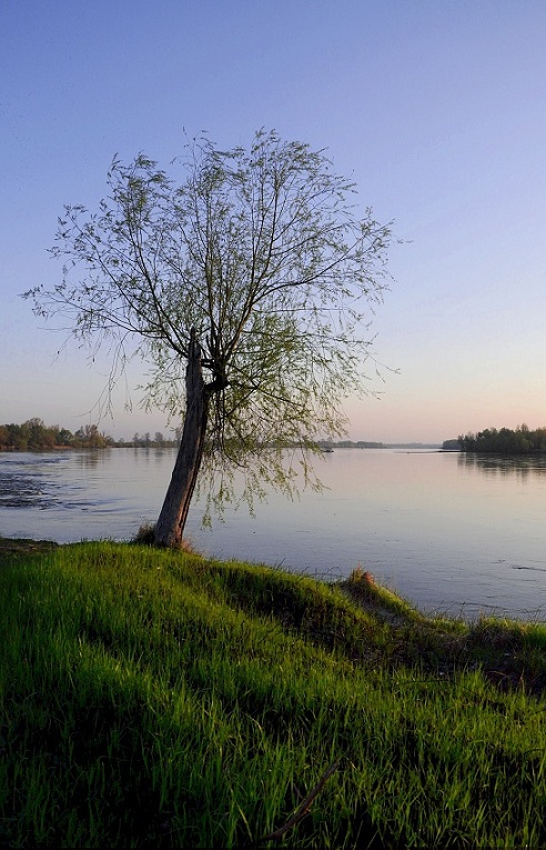 wschód nad wisłą