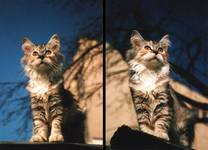 Lili