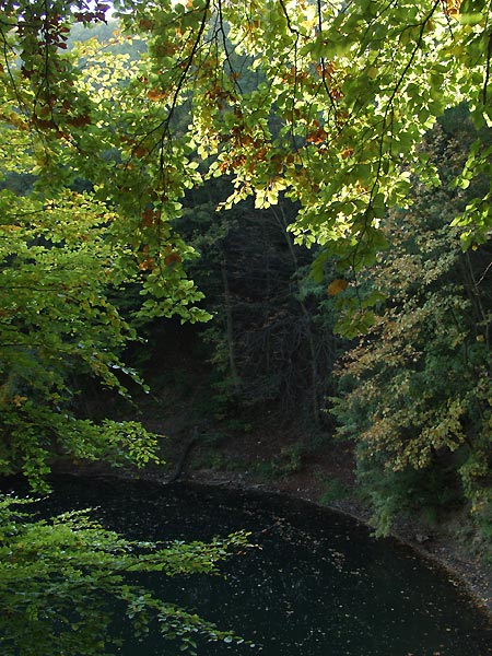 fotomanek