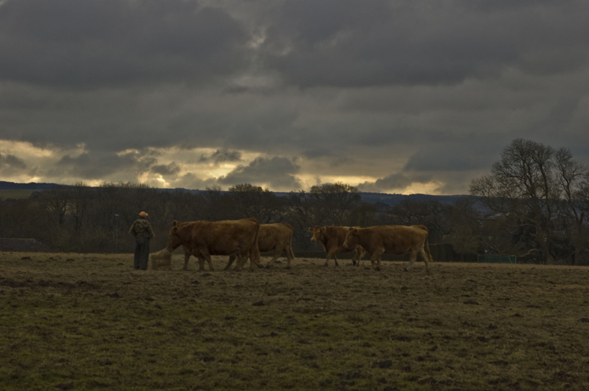 Farmer