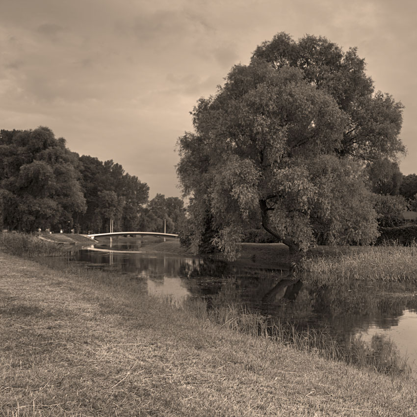 Kępa Potocka