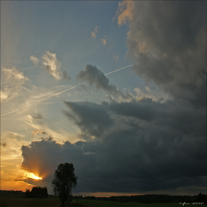 paszcz