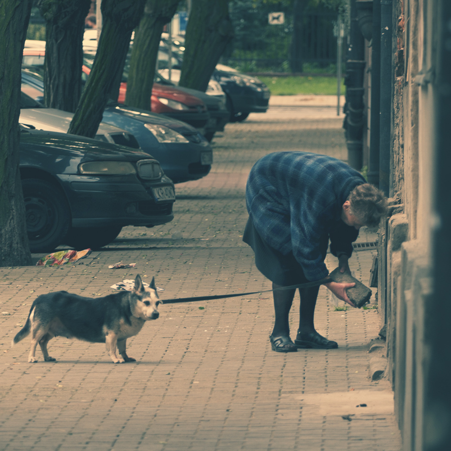 Cegła śniadaniowa