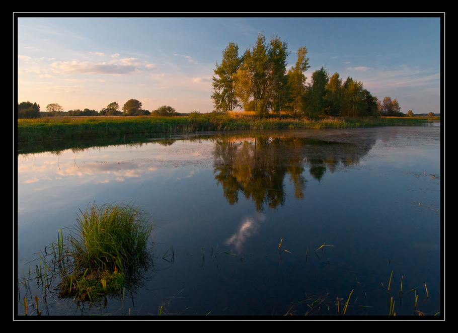 dolina Tyśmienicy