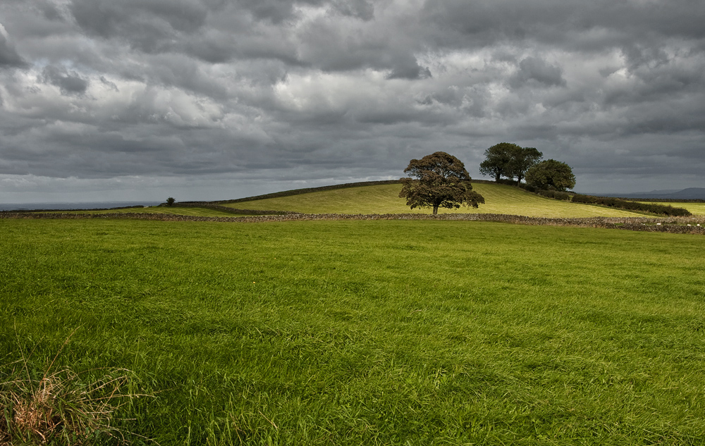 Pierwsze jesienne pstrykanie - Nidderdale,Yorkshire