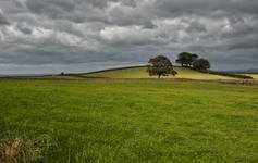 Pierwsze jesienne pstrykanie - Nidderdale,Yorkshire