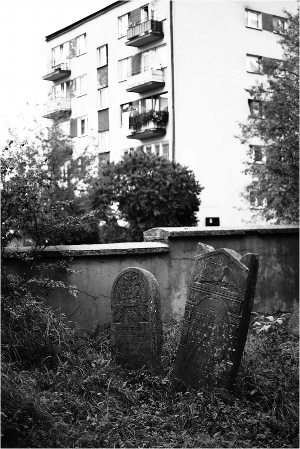 Szydłowiec 3/4