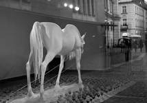 Unicorn...