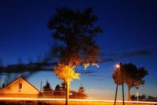 Nocą
